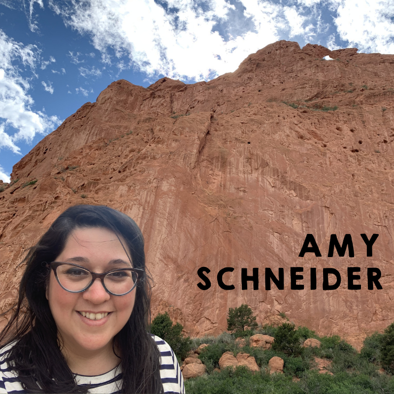 AMY SCHNEIDER image